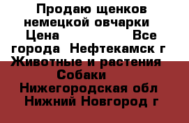 Продаю щенков немецкой овчарки › Цена ­ 5000-6000 - Все города, Нефтекамск г. Животные и растения » Собаки   . Нижегородская обл.,Нижний Новгород г.
